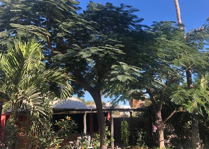 Kbo Cabo San Lucas